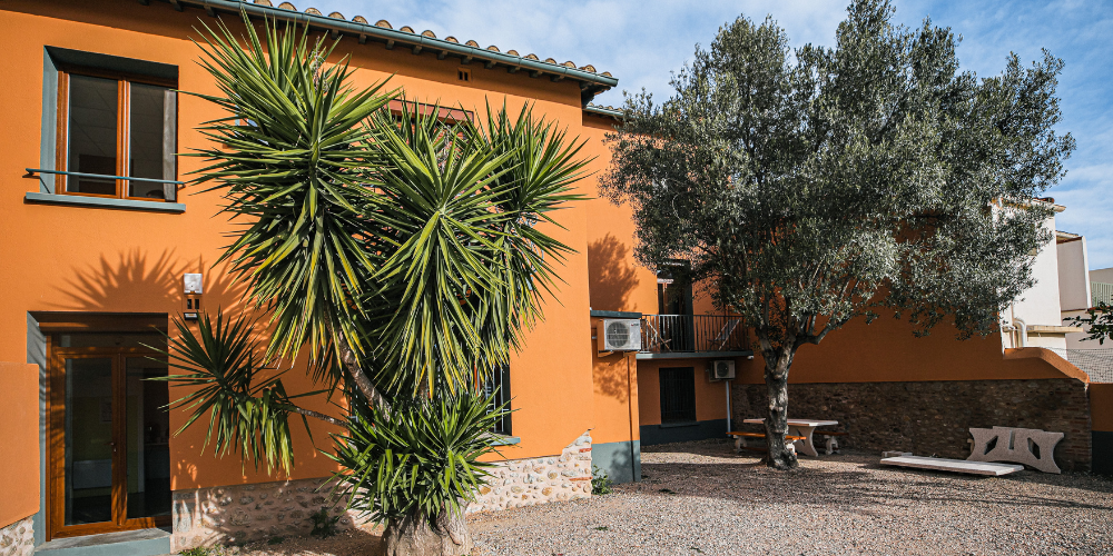 pole-action-media-pepiniere-incubateur-entreprise-cluster-groupement-perpignan-start-up-66-pyrénées-orientales-le-soler
